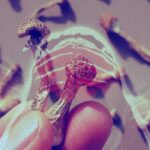 Where to buy Magic Mushrooms