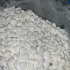 Dilaudid / Hydromorphone 8 mg